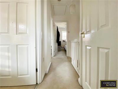 Picture 13